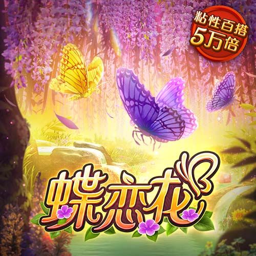 九州体育app