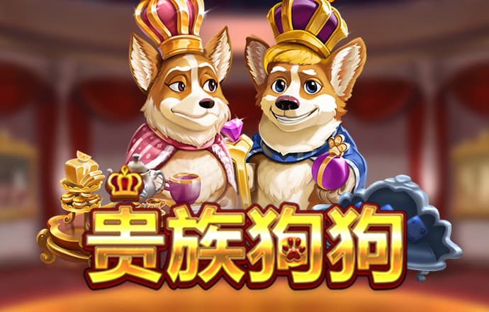 kok全站官网登录入口